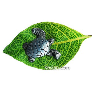 Save the sea turtle now ! kesian.com